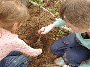 Kinder von oben setzen Setzling in Erde