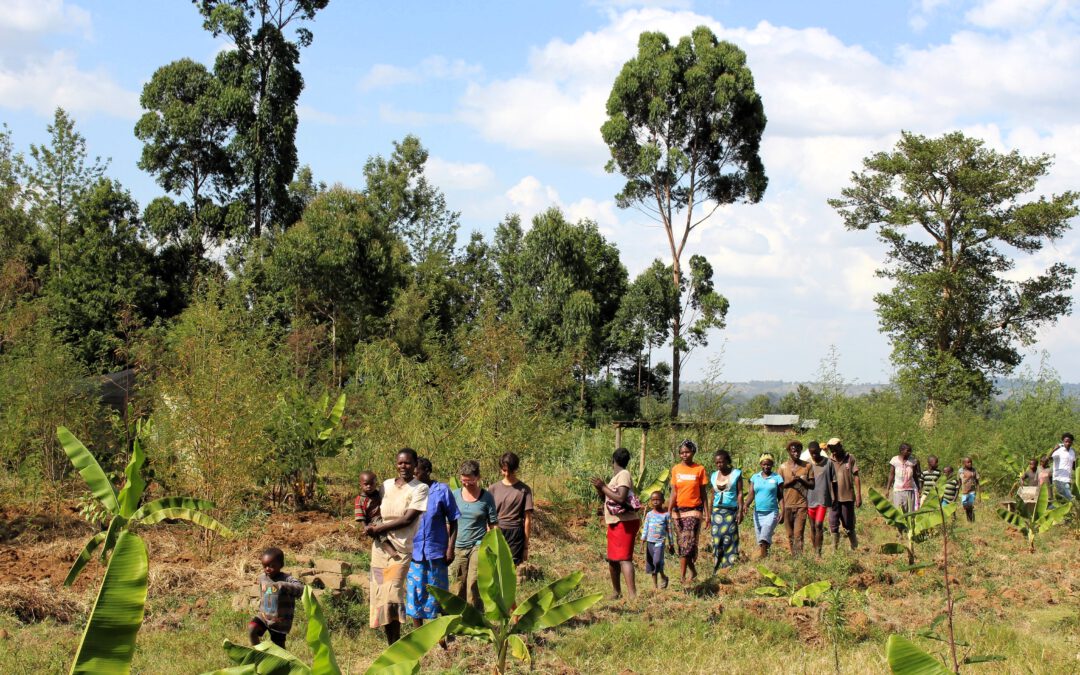 Wälder der Welt: Kenia