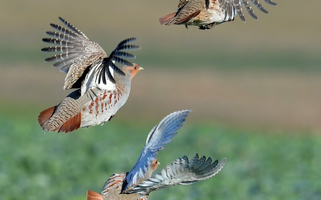 Das Jahresprogramm 2026 ist online