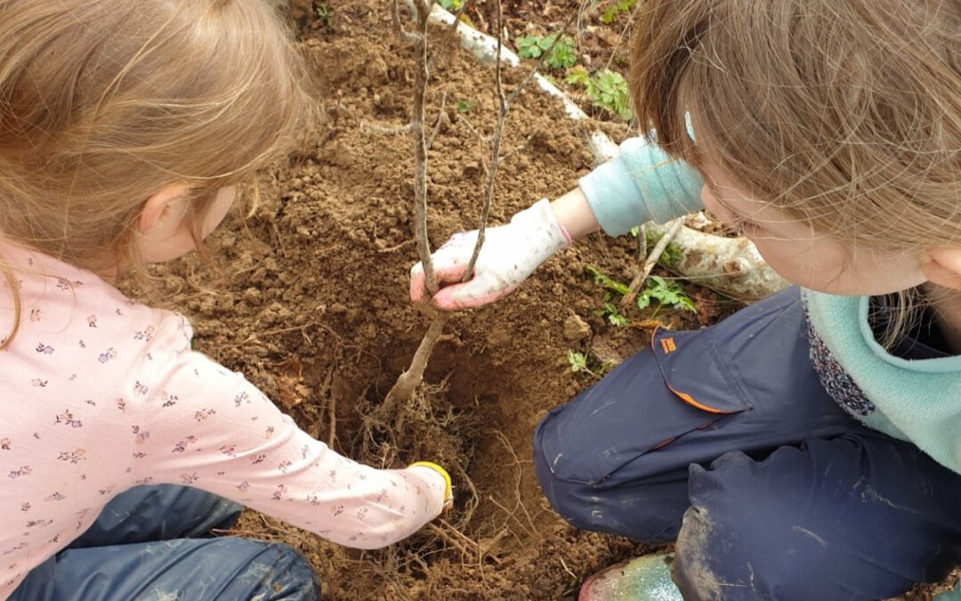 Familienaktionstag: Bäume pflanzen im Mooswald