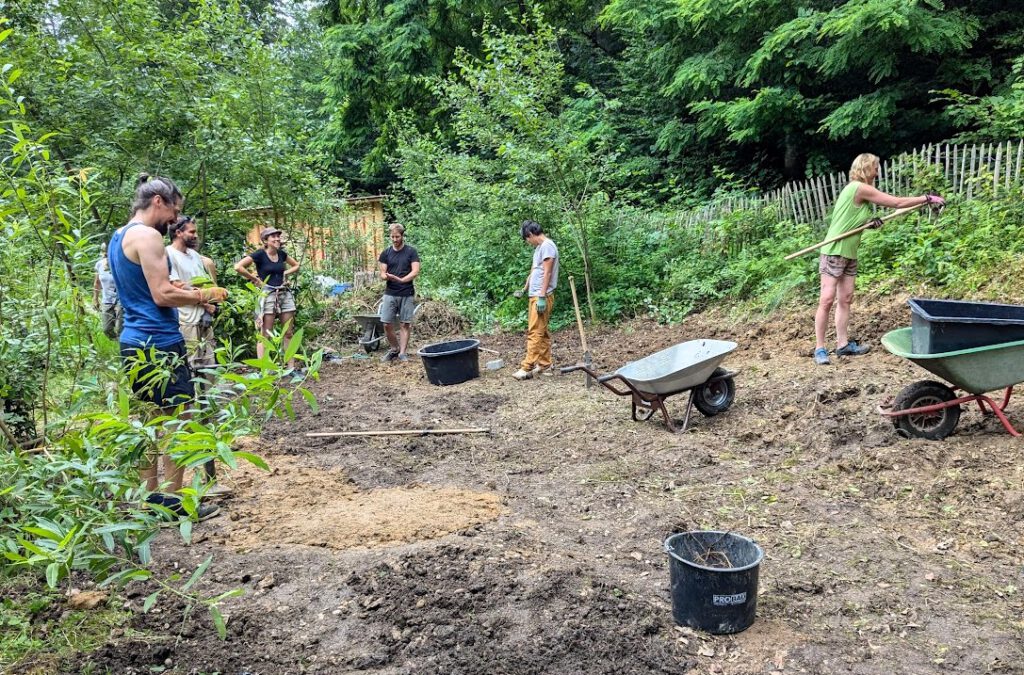WaldHaus Waldgarten an einem Tag der Offenen Gartentür